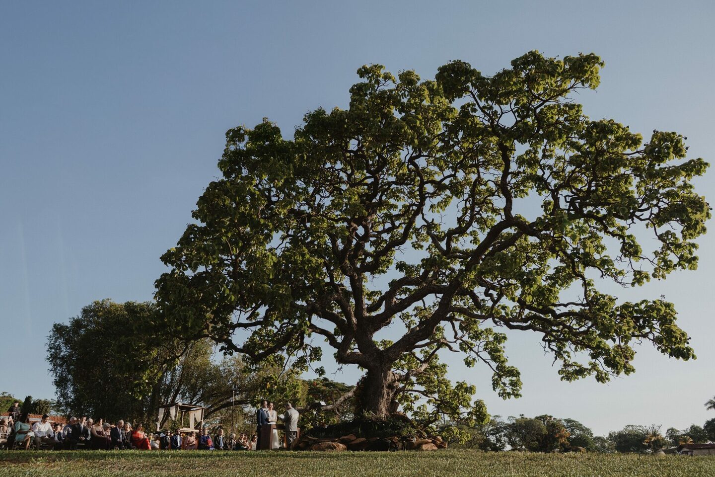 CASAMENTO | MILENA E FELIPE